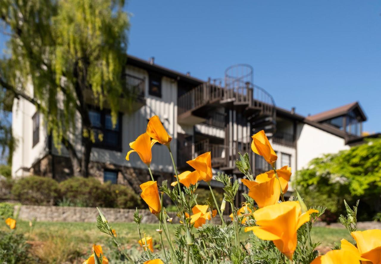 Wine Country Inn Napa Valley Сент-Хелина Экстерьер фото