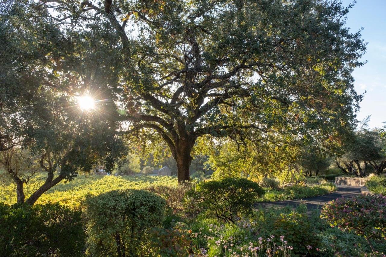 Wine Country Inn Napa Valley Сент-Хелина Экстерьер фото