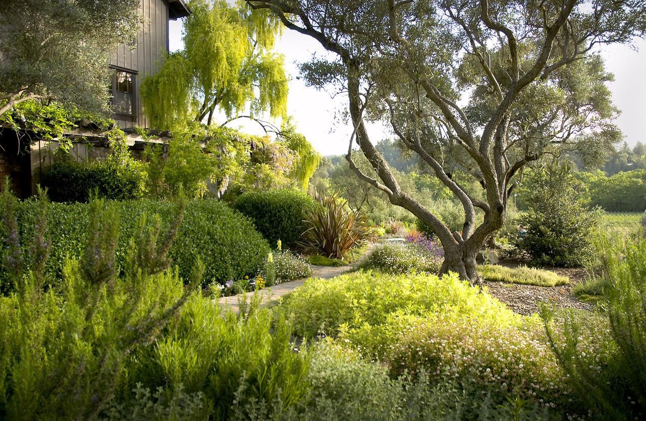 Wine Country Inn Napa Valley Сент-Хелина Экстерьер фото