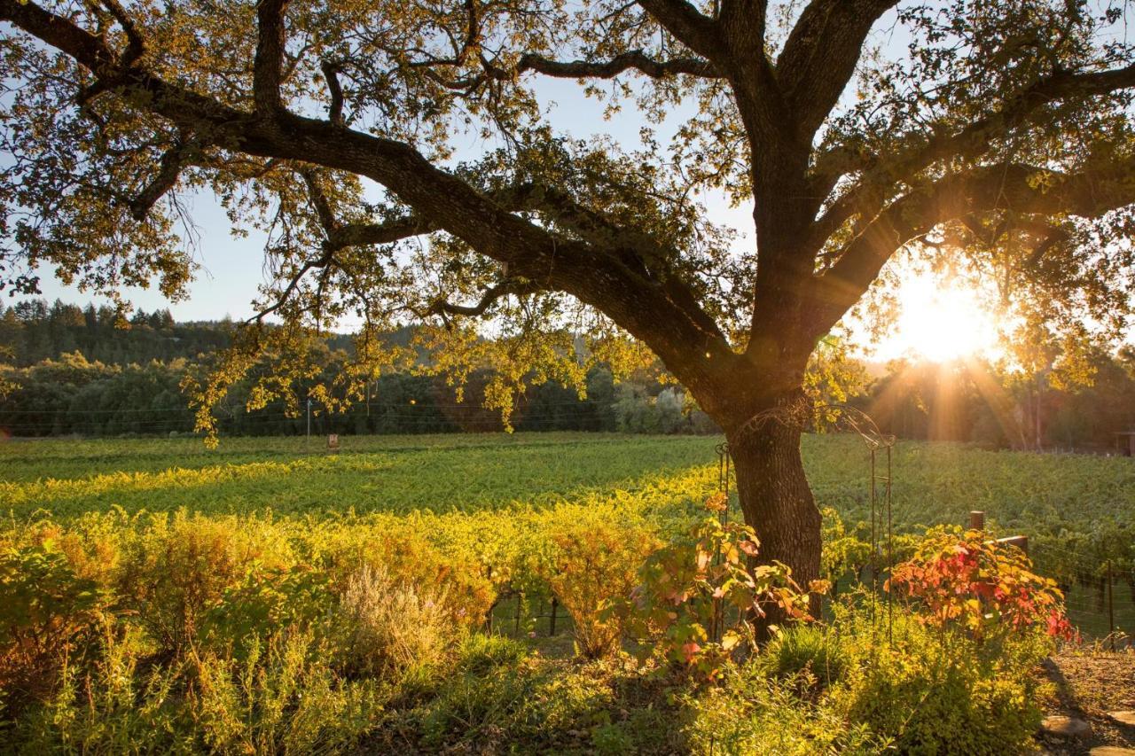 Wine Country Inn Napa Valley Сент-Хелина Экстерьер фото